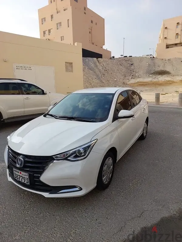 شانجان السفين 2024